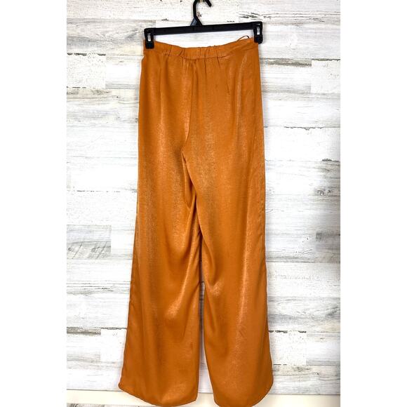 Lucy Paris Women’s XS tan gold Flat Front Celine Wide-Leg Silky Pull-On Pant NEW - Picture 3 of 8